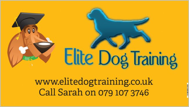 Enfield Dog Trainer